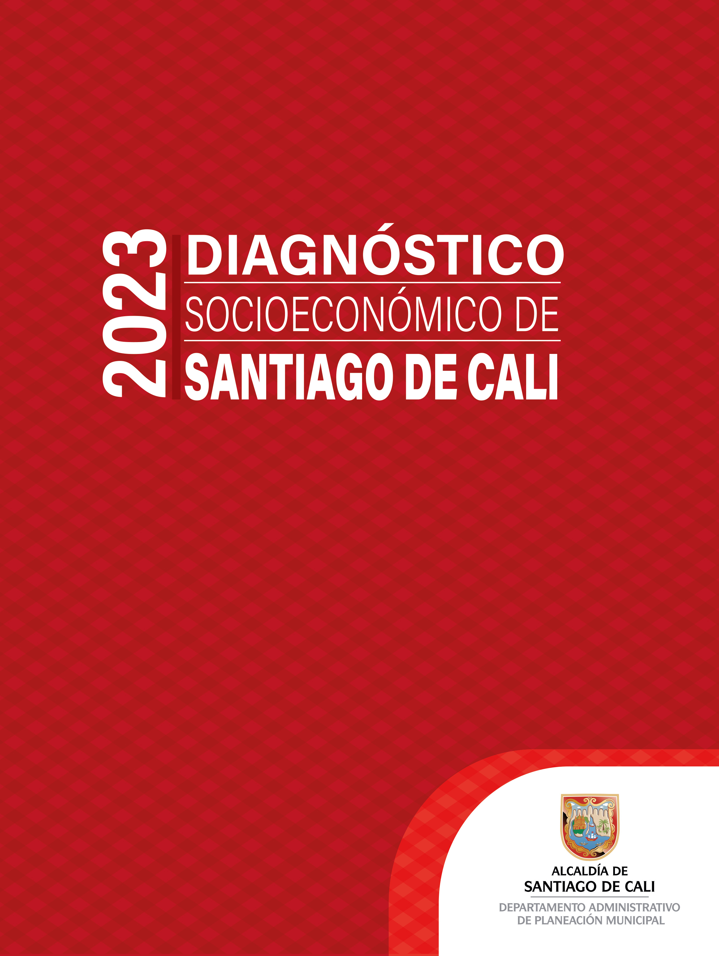 Diagnóstico Socioeconómico Cali 2023 fin 1